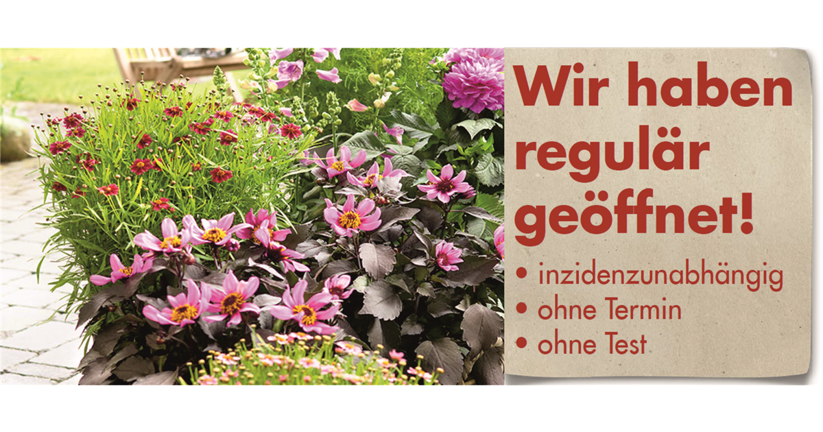 Kutter Ihr Gartencenter in Kempten & Memmingen