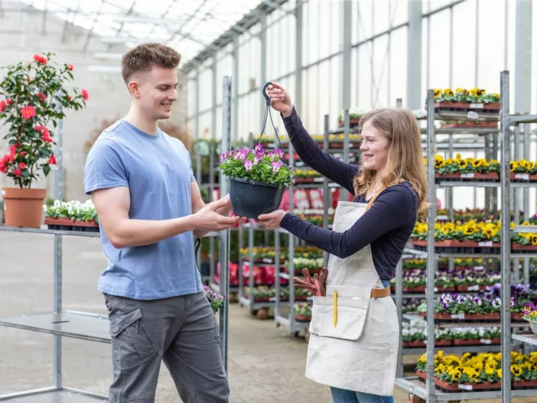 Einkauf im Pflanzengroßmarkt - Kundenberatung